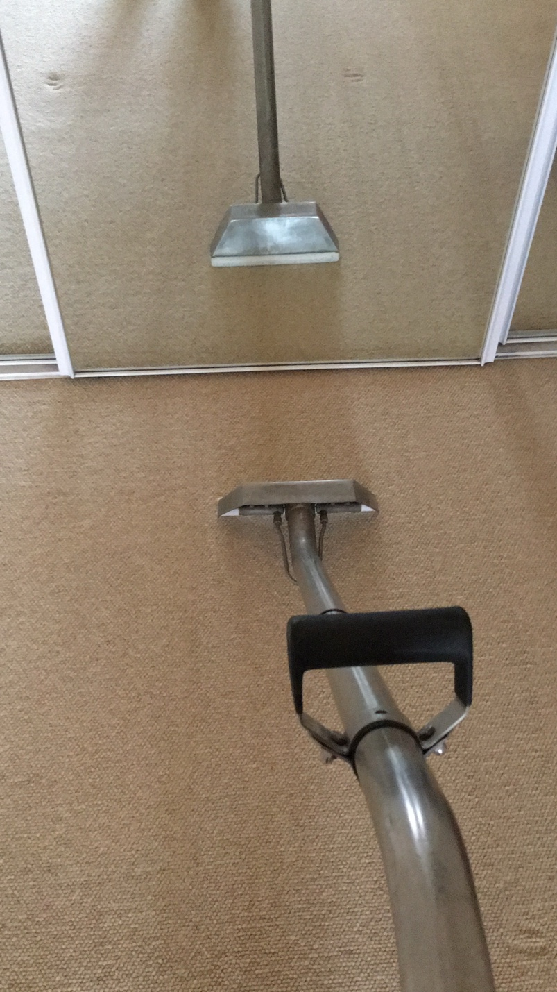 Carpet steam cleaning wand in use on residential carpet