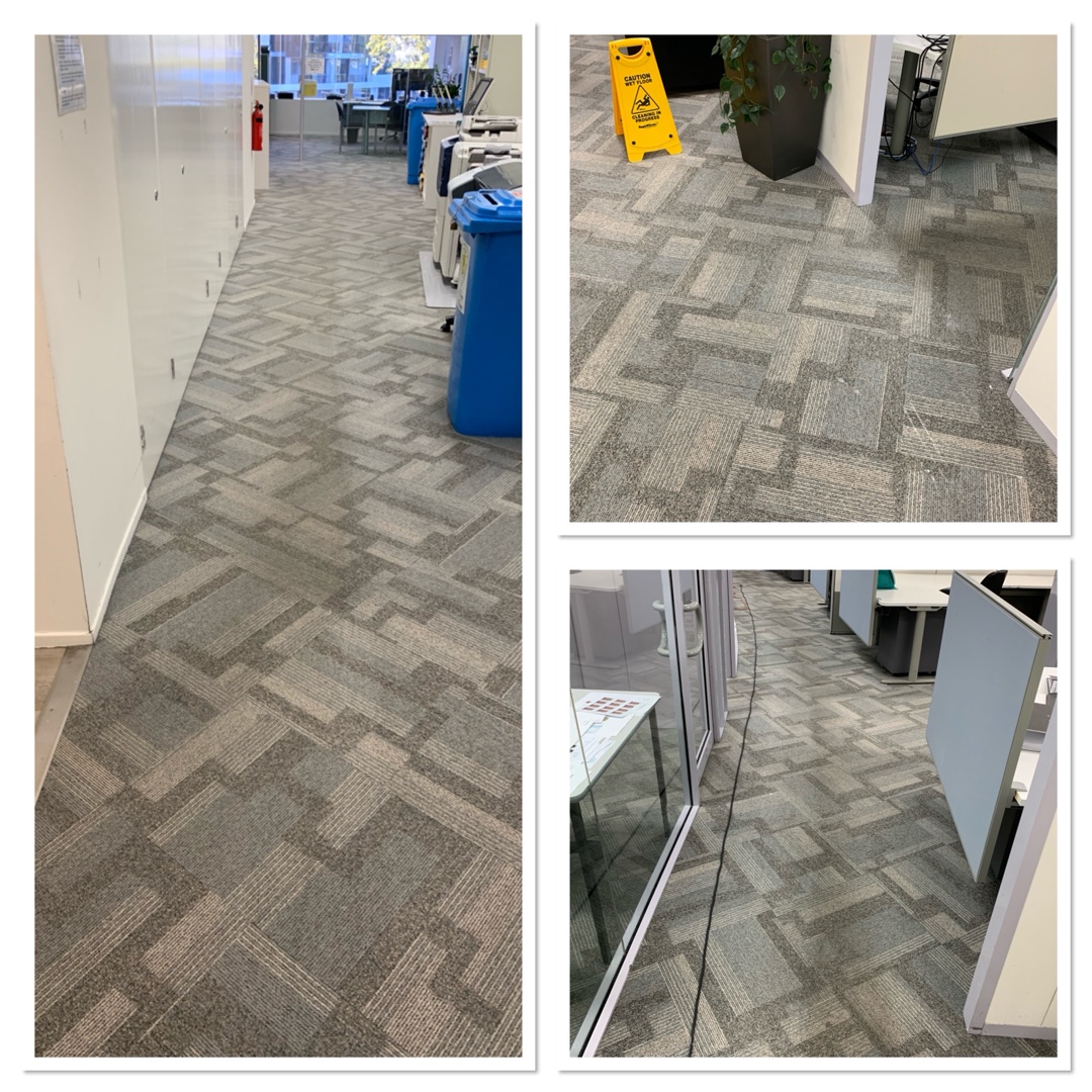 Office carpet cleaning in progress at Perth workplace